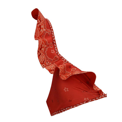 Lucky Frill Swimsuit