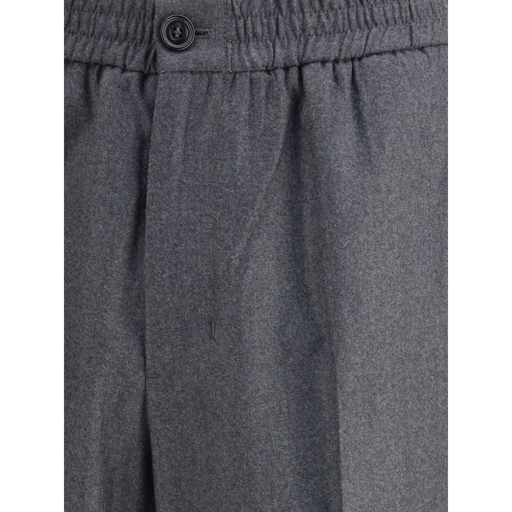 Virgin wool Pants
