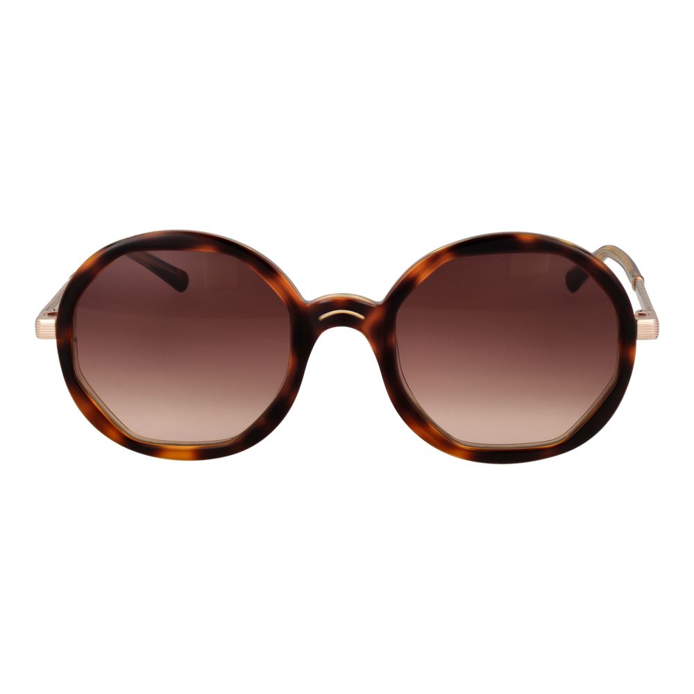 Brown Women Sunglass